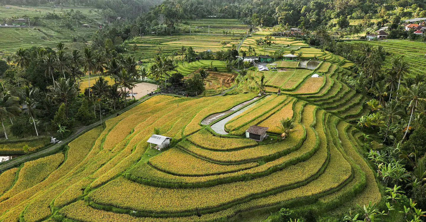 project-recommended-hero