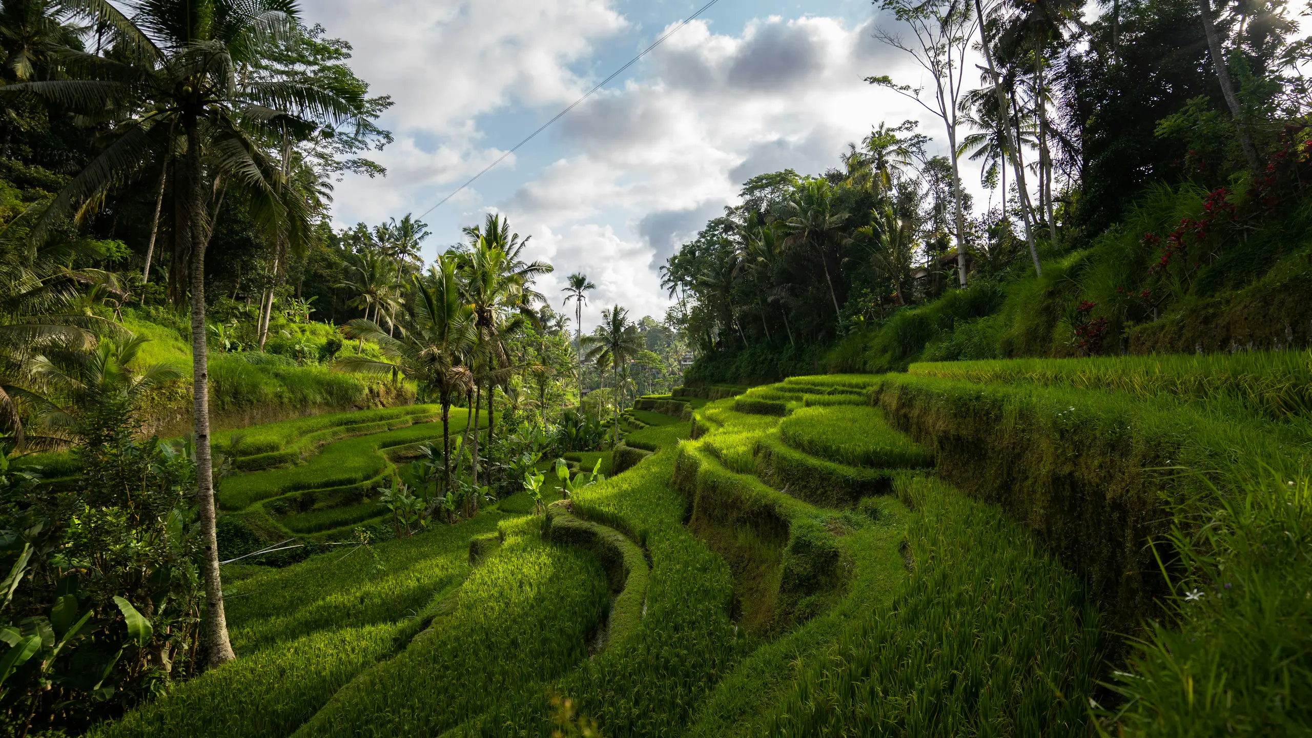 ubud-3